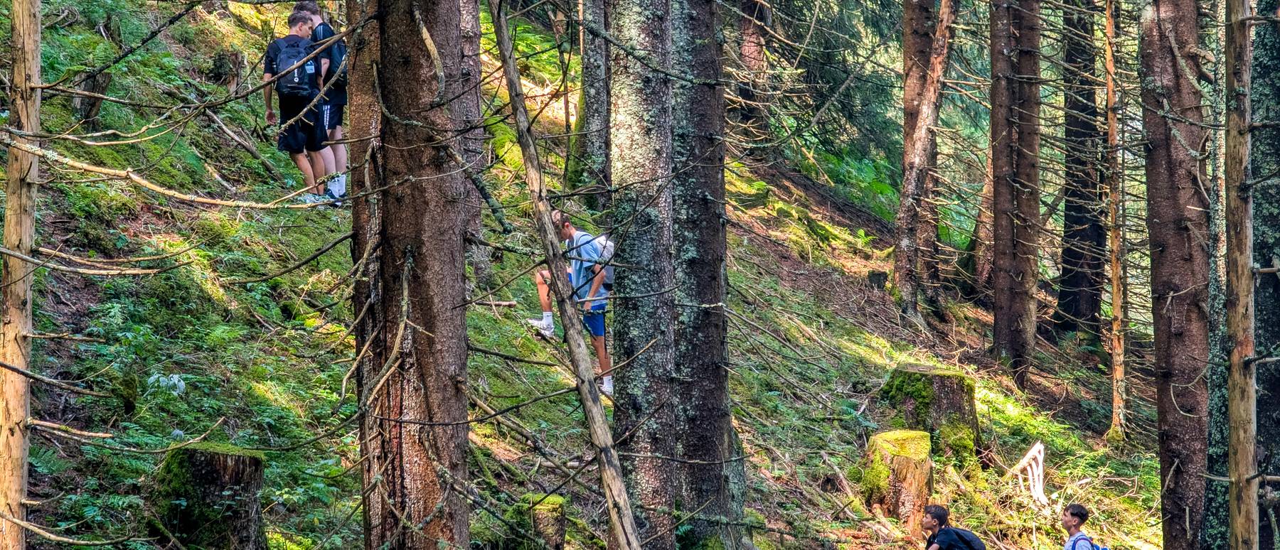 Ein Team steigt querfeldein durch steilen Nadelwald