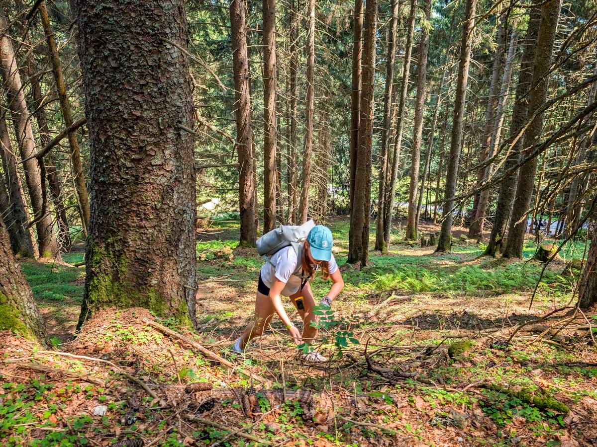 Teilnehmerin bahnt sich ihren Weg durch den Wald